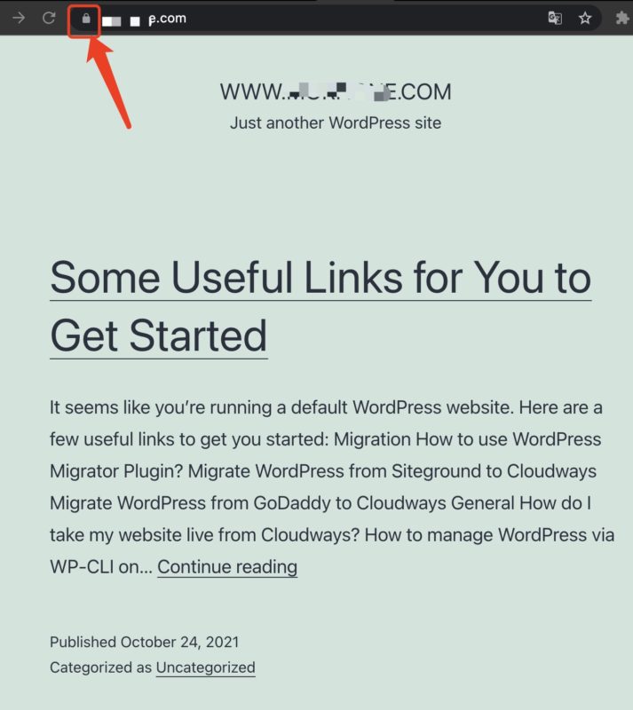 WordPress 博客赚钱完整教程(2026 修订):写的人越少越值钱,如何运营月入数千美元的中文博客